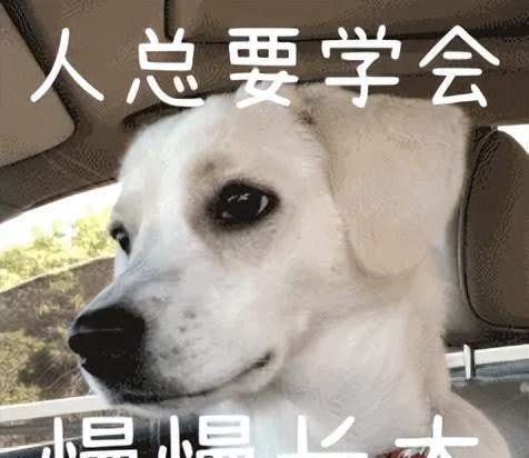 BaiChuan's New Model Tops Chinese Benchmark; First AI Assistant 'Bai Xiaoying' Launched as 'Most … — figure 15